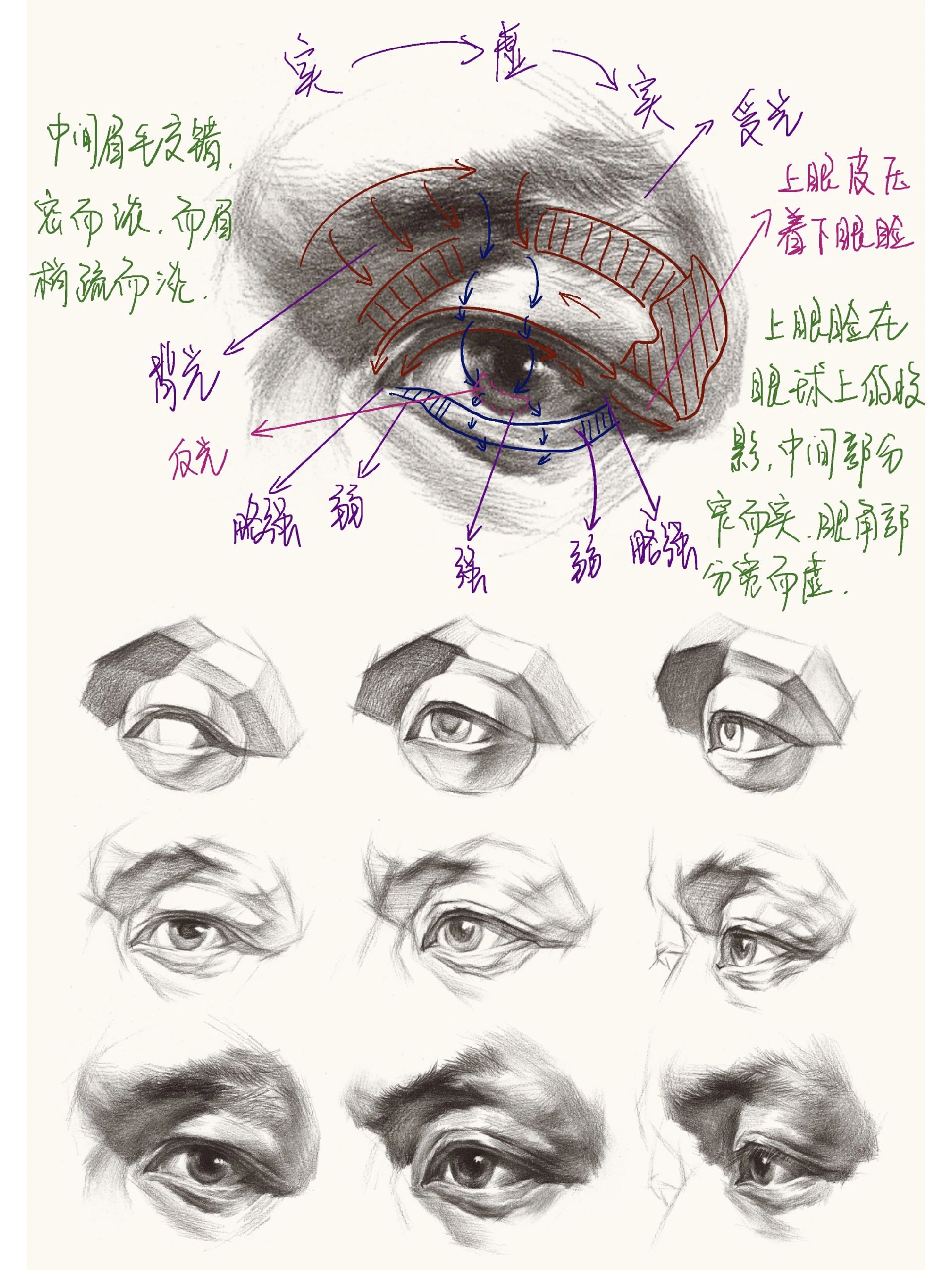 美术生素描头像五官干货-详细分解