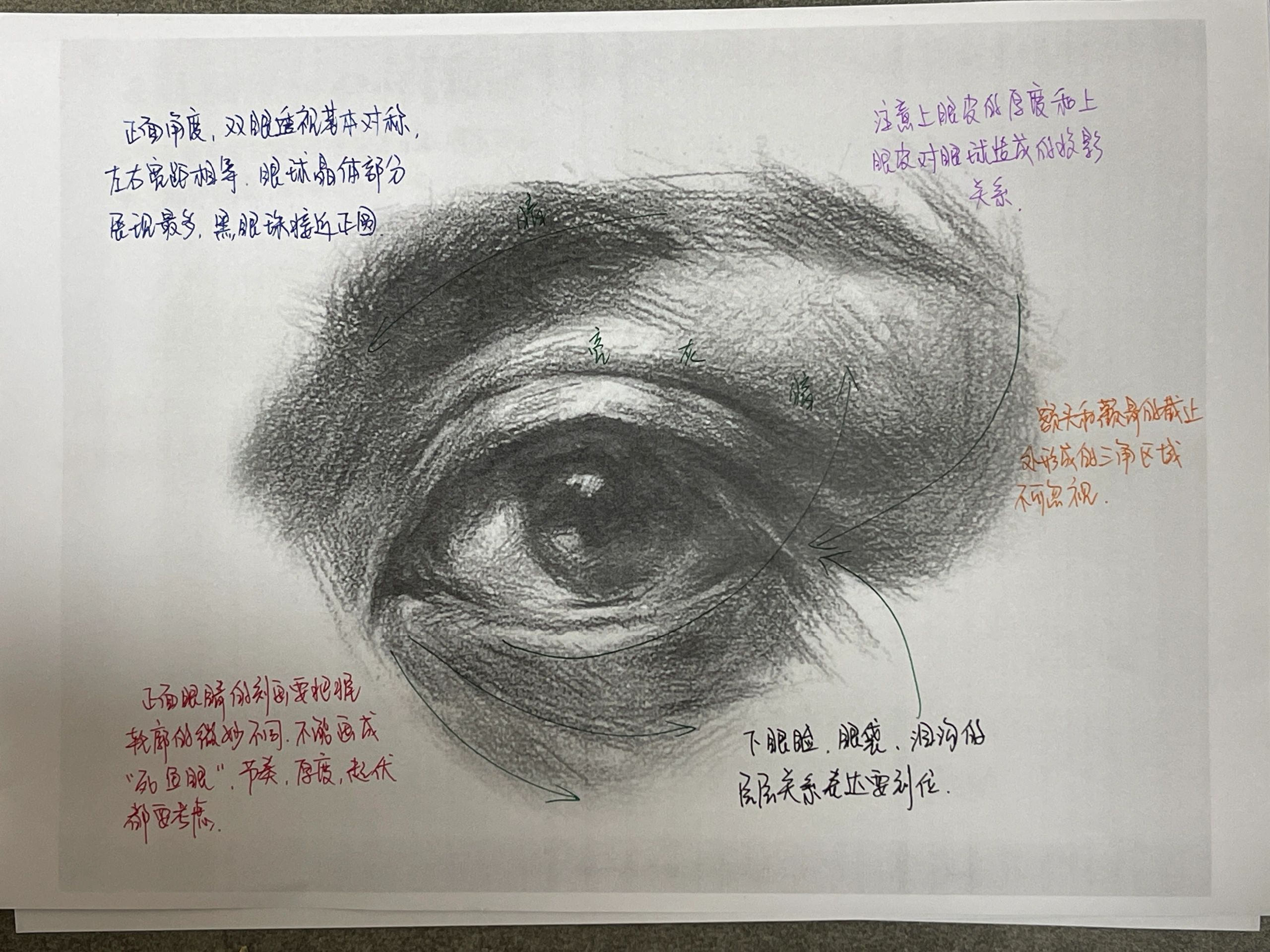 素描头像五官干货｜快速理解五官结构图